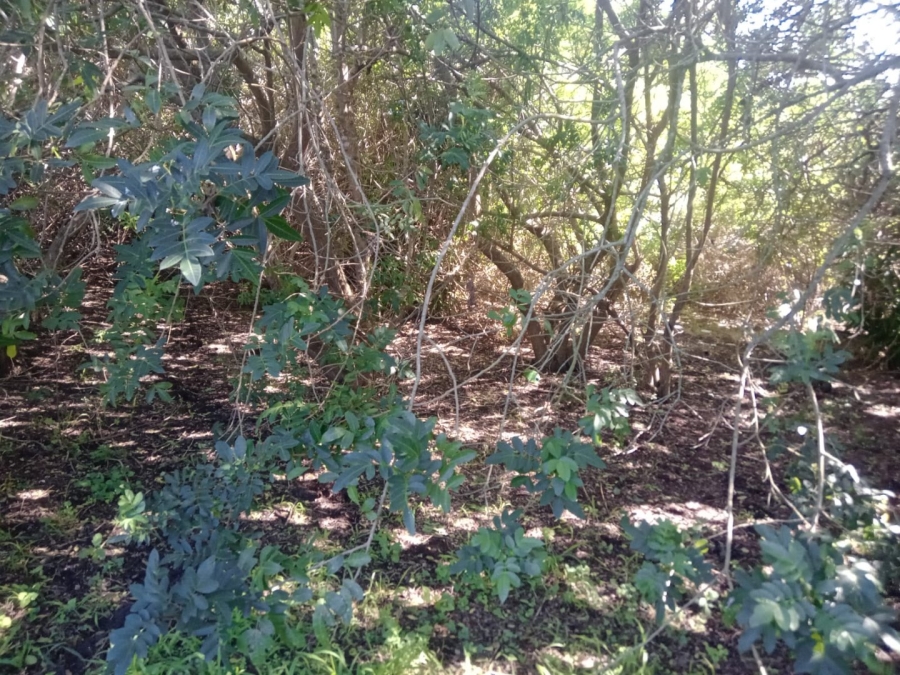 Commercial Property for Sale in Paradise Beach Eastern Cape